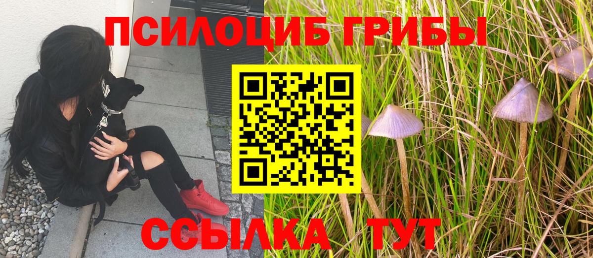 Псилоцибиновые грибы прущие грибы Анжеро-Судженск